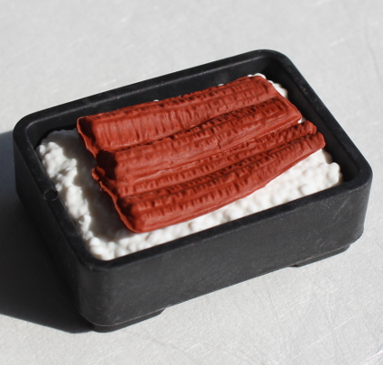 Radiergummi, Aal Streifen und Reis in Bento Box
