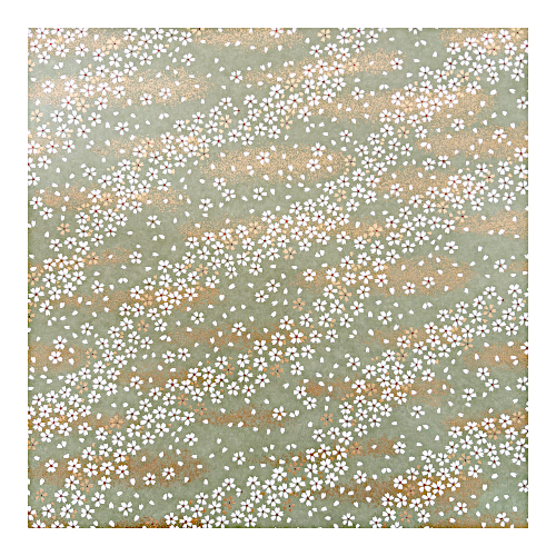 Japanipapier im Grossformat mit weissem Sakura (Kirschblüten) muster und goldenen Akzenten auf hellgrünem Hintergrund